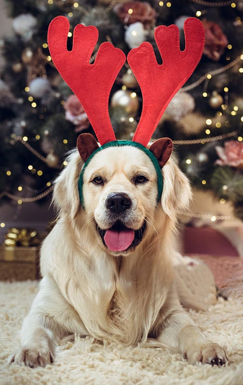 BWOGUE Dog Christmas Elk Reindeer Antlers Headbands Set Pet Christmas Costume Accessories Headwear for Medium Large Dogs - Image 5